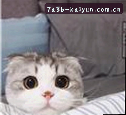 小王